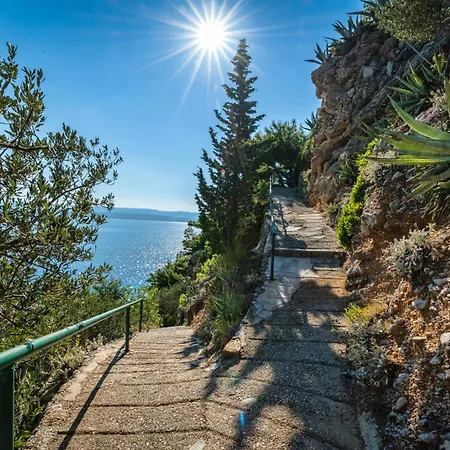 Apartment Tom Mimice